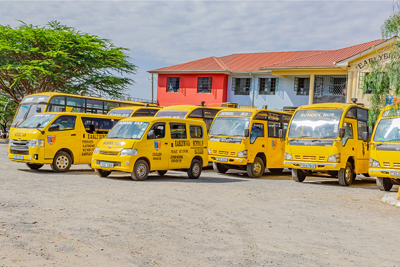Earlybird Primary School Transport